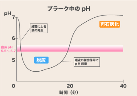 臨界PHと歯の関係